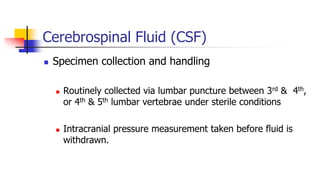 Cerebrospinal Fluid (CSF)
 Specimen collection and handling
 Routinely collected via lumbar puncture between 3rd & 4th,
or 4th & 5th lumbar vertebrae under sterile conditions
 Intracranial pressure measurement taken before fluid is
withdrawn.
 