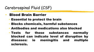Cerebrospinal Fluid (CSF)
• Blood Brain Barrier
• Essential to protect the brain
• Blocks chemicals, harmful substances
• Antibodies and medications also blocked
• Tests for those substances normally
blocked can indicate level of disruption by
diseases: ie meningitis and multiple
sclerosis.
 