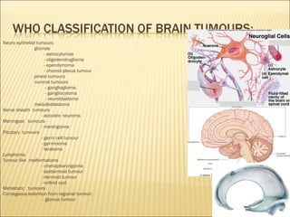 Neuro epithelial tumours  gliomas - astrocytomas - oligodendroglioma - ependymoma - choroid plexus tumour  pineal tumours nuronal tumours - ganglioglioma - gangliocytoma - neuroblastoma medulloblastoma Nerve sheath  tumours  - acoustic neuroma Meningeal  tumours  - meningioma Pituitary  tumours - germ cell tumour  - germinoma - teratoma  Lymphoma  Tumour like  malformations - craniopharyngioma - epidermoid tumour - dermoid tumour - colloid cyst Metastatic  tumours  Contageous extention from regional tumour: - glomus tumour 