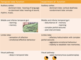 Temporal lobe function  Impairment of  function  Auditory cortex:  dominant lobe:  hearing of language no dominant lobe: hearing of sound, rhythm, music.  Auditory cortex:  dominant lobe: cortical deafness nondominant lobe: amusia  Middle and inferior temporal gyri:  - learning  - memory  Middle and inferior temporal gyri:  - disturbance of –memory - learning - complex partial seizures - post ictal amnesia Limbic lobe:  - sensation of olfaction - emotional/effective behaviour Limbic lobe:  - olfactory hallucination with complex partial seizures - aggressive emotional behaviour - inability to establish new memories. Visual pathway: - deep in temporal lobe Visual pathway: upper homonymous quadranopiap 