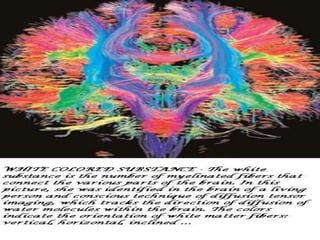 Cerebral vascular accident stroke