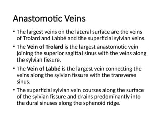 V Labbe Cerebral hemisphere and Lateral ventricular Venous Anatomy | PPTX