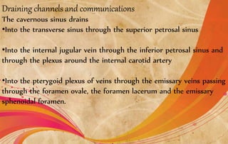 Draining channels and communications
The cavernous sinus drains
•Into the transverse sinus through the superior petrosal sinus
•Into the internal jugular vein through the inferior petrosal sinus and
through the plexus around the internal carotid artery
•Into the pterygoid plexus of veins through the emissary veins passing
through the foramen ovale, the foramen lacerum and the emissary
sphenoidal foramen.
 