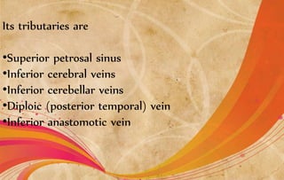 Its tributaries are
•Superior petrosal sinus
•Inferior cerebral veins
•Inferior cerebellar veins
•Diploic (posterior temporal) vein
•Inferior anastomotic vein
 