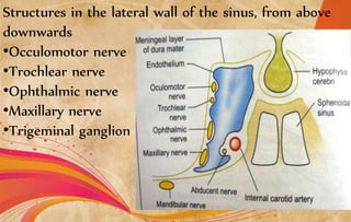 Structures in the lateral wall of the sinus, from above
downwards
•Occulomotor nerve
•Trochlear nerve
•Ophthalmic nerve
•Maxillary nerve
•Trigeminal ganglion
 