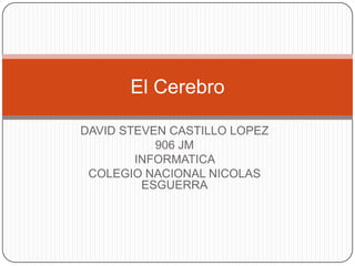 El Cerebro

DAVID STEVEN CASTILLO LOPEZ
           906 JM
        INFORMATICA
 COLEGIO NACIONAL NICOLAS
         ESGUERRA
 
