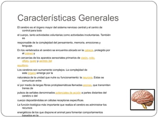 Características Generales
El cerebro es el órgano mayor del sistema nervioso central y el centro de
    control para todo
el cuerpo, tanto actividades voluntarias como actividades involuntarias. También
    es
responsable de la complejidad del pensamiento, memoria, emociones y
    lenguaje.
En los vertebrados el cerebro se encuentra ubicado en la cabeza, protegido por
    el cráneo y
en cercanías de los aparatos sensoriales primarios de visión, oído,
    olfato, gusto y sentido del
equilibrio.
Los cerebros son sumamente complejos. La complejidad de
    este órgano emerge por la
naturaleza de la unidad que nutre su funcionamiento: la neurona. Estas se
    comunican entre
sí por medio de largas fibras protoplasmáticas llamadas axones, que transmiten
    trenes de
pulsos de señales denominados potenciales de acción a partes distantes del
    cerebro o del
cuerpo depositándolas en células receptoras específicas.
La función biológica más importante que realiza el cerebro es administrar los
    recursos
energéticos de los que dispone el animal para fomentar comportamientos
   basados en la
 