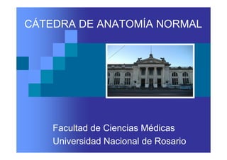 CÁTEDRA DE ANATOMÍA NORMAL




    Facultad de Ciencias Médicas
    Universidad Nacional de Rosario
 