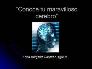 “ Conoce tu maravilloso cerebro” Edna Margarita Sánchez Higuera 