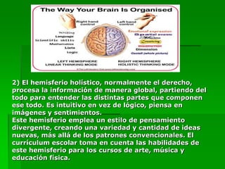 2) El hemisferio holístico, normalmente el derecho,
procesa la información de manera global, partiendo del
todo para entender las distintas partes que componen
ese todo. Es intuitivo en vez de lógico, piensa en
imágenes y sentimientos.
Este hemisferio emplea un estilo de pensamiento
divergente, creando una variedad y cantidad de ideas
nuevas, más allá de los patrones convencionales. El
currículum escolar toma en cuenta las habilidades de
este hemisferio para los cursos de arte, música y
educación física.
 