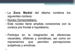 • La Zona Medial del tálamo contiene los
siguientes núcleos:
• Núcleo Dorsomediano.
• Este núcleo tiene amplias conexiones con la
corteza pre frontal e hipotálamo.
• Participa en la integración de aferencias
viscerales, olfativas y somáticas, así como en
mecanismos que permiten percepciones
subjetivas y emotivas.
•

 