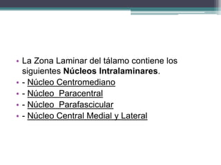 • La Zona Laminar del tálamo contiene los
siguientes Núcleos Intralaminares.
• - Núcleo Centromediano
• - Núcleo Paracentral
• - Núcleo Parafascicular
• - Núcleo Central Medial y Lateral

 