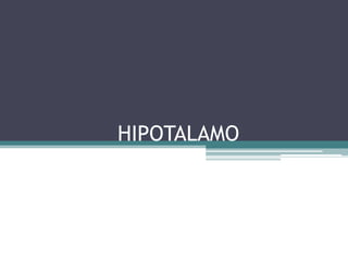HIPOTALAMO

 
