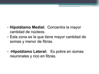 • Hipotálamo Medial: Concentra la mayor
cantidad de núcleos.
• Esta zona es la que tiene mayor cantidad de
somas y menor de fibras.
• -Hipotálamo Lateral: Es pobre en somas
neuronales y rico en fibras.

 