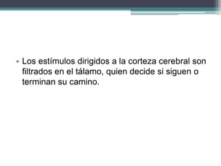 • Los estímulos dirigidos a la corteza cerebral son
filtrados en el tálamo, quien decide si siguen o
terminan su camino.

 
