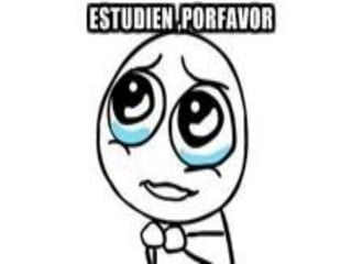 Cerebro.morfologia externa e interna-Neuroanatomía