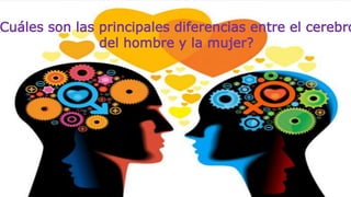 Cuáles son las principales diferencias entre el cerebro
del hombre y la mujer?
 