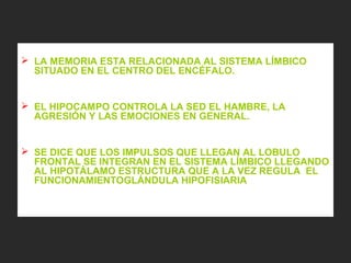  LA MEMORIA ESTA RELACIONADA AL SISTEMA LÍMBICO
SITUADO EN EL CENTRO DEL ENCÉFALO.
 EL HIPOCAMPO CONTROLA LA SED EL HAMBRE, LA
AGRESIÓN Y LAS EMOCIONES EN GENERAL.
 SE DICE QUE LOS IMPULSOS QUE LLEGAN AL LOBULO
FRONTAL SE INTEGRAN EN EL SISTEMA LÍMBICO LLEGANDO
AL HIPOTÁLAMO ESTRUCTURA QUE A LA VEZ REGULA EL
FUNCIONAMIENTOGLÁNDULA HIPOFISIARIA
 