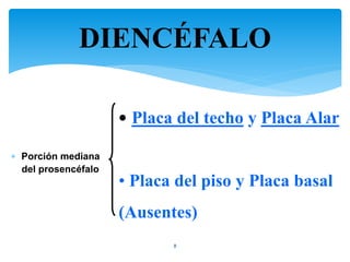 DIENCÉFALO
8
 Porción mediana
del prosencéfalo
• Placa del techo y Placa Alar
• Placa del piso y Placa basal
(Ausentes)
 
