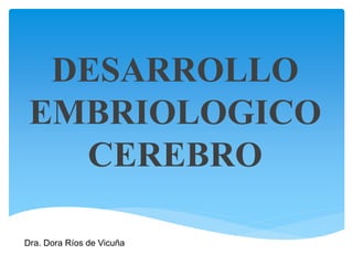 DESARROLLO
EMBRIOLOGICO
CEREBRO
Dra. Dora Ríos de Vicuña
 