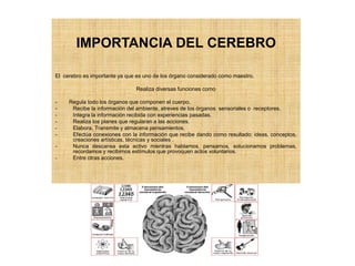 IMPORTANCIA DEL CEREBRO
El cerebro es importante ya que es uno de los órgano considerado como maestro.
Realiza diversas funciones como
- Regula todo los órganos que componen el cuerpo,
- Recibe la información del ambiente, atreves de los órganos sensoriales o receptores.
- Integra la información recibida con experiencias pasadas.
- Realiza los planes que regularan a las acciones.
- Elabora, Transmite y almacena pensamientos.
- Efectúa conexiones con la información que recibe dando como resultado: ideas, conceptos,
creaciones artísticas, técnicas y sociales .
- Nunca descansa esta activo mientras hablamos, pensamos, solucionamos problemas,
recordamos y recibimos estímulos que provoquen actos voluntarios.
- Entre otras acciones.
 