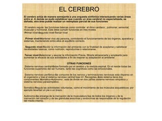 EL CEREBRO
El cerebro actúa de manera semejante a una orquesta sinfónica interactuando varias áreas
entre sí. A demás se pudo establecer que cuando un área cerebral no especializada, es
dañada, otra área puede realizar un reemplazo parcial de sus funciones
El cerebro regula las funciones básicas como controlar el ritmo cardiaco , pulmonar, sensorial,
muscular y hormonal. Este debe cumplir funciones en tres niveles
—Primer nivel—Segundo nivel—Tercer nivel
. Primer nivel—Mantener viva ala persona, controlando el funcionamiento de los órganos, aparatos y
sistemas, manteniendo entre ellos el equilibrio correcto.
. Segundo nivel—Recibir la información del ambiente con la finalidad de aceptarse y satisfacer
necesidades básicas, como nutrición, reproducirse o relacionarse.
.Tercer nivel—Relacionar y asociar la información Previa, filtrarla almacenarla y emplearla para
aumentar la eficacia de sus actividades a fin de mejorar su adaptación al ambiente
OTRAS FUNCIONES
Sistema nervioso central—Estas formado por el cerebro y la medula espinal. En el reside todas las
funciones superiores del ser humano, tanto las cognitivas como las emocionales.
Sistema nervioso periférico—Se compone de los nervios y terminaciones nerviosas esta disperso en
el organismo y trae el sistema nervioso central loas inf. Recogidas.—Este sistema tiene dos
componentes:—Somático—Autónomo : este de divide en dos partes sistema nervioso simpático y
sistema nervioso parasimpático.
Somático—Regula las actividades voluntarias, como el movimiento de los músculos esqueléticos: por
ejemplo levantar un pie o un brazo.
Autónomo—Se encarga de la inervación de la musculatura lisa de todos los órganos y de la
inervación del corazón y de las glándulas exocrinas y endocrinas es responsable de la regulación
del medio interno.
 