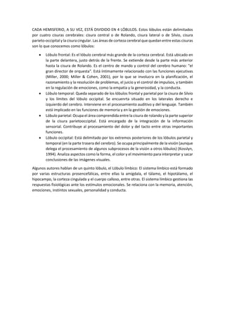 CADA HEMISFERIO, A SU VEZ, ESTÁ DIVIDIDO EN 4 LÓBULOS. Estos lóbulos están delimitados
por cuatro cisuras cerebrales: cisura central o de Rolando, cisura lateral o de Silvio, cisura
parieto-occipital y la cisuracingular. Las áreas de corteza cerebral que quedan entre estas cisuras
son lo que conocemos como lóbulos:
 Lóbulo frontal: Es el lóbulo cerebral más grande de la corteza cerebral. Está ubicado en
la parte delantera, justo detrás de la frente. Se extiende desde la parte más anterior
hasta la cisura de Rolando. Es el centro de mando y control del cerebro humano: "el
gran director de orquesta". Está íntimamente relacionado con las funciones ejecutivas
(Miller, 2000; Miller & Cohen, 2001), por lo que se involucra en la planificación, el
razonamiento y la resolución de problemas, el juicio y el control de impulsos, y también
en la regulación de emociones, como la empatía y la generosidad, y la conducta.
 Lóbulo temporal: Queda separado de los lóbulos frontal y parietal por la cisura de Silvio
y los límites del lóbulo occipital. Se encuenrta situado en los laterales derecho e
izquierdo del cerebro. Interviene en el procesamiento auditivo y del lenguaje. También
está implicado en las funciones de memoria y en la gestión de emociones.
 Lóbulo parietal: Ocupa el área comprendida entre la cisura de rolando y la parte superior
de la cisura parietooccipital. Está encargado de la integración de la información
sensorial. Contribuye al procesamiento del dolor y del tacto entre otras importantes
funciones.
 Lóbulo occipital: Está delimitado por los extremos posteriores de los lóbulos parietal y
temporal (en la parte trasera del cerebro). Se ocupa principalmente de la visión (aunque
delega el procesamiento de algunos subprocesos de la visión a otros lóbulos) (Kosslyn,
1994). Analiza aspectos como la forma, el color y el movimiento para interpretar y sacar
conclusiones de las imágenes visuales.
Algunos autores hablan de un quinto lóbulo, el Lóbulo límbico: El sistema límbico está formado
por varias estructuras prosencefálicas, entre ellas la amígdala, el tálamo, el hipotálamo, el
hipocampo, la corteza cingulada y el cuerpo calloso, entre otras. El sistema límbico gestiona las
respuestas fisiológicas ante los estímulos emocionales. Se relaciona con la memoria, atención,
emociones, instintos sexuales, personalidad y conducta.
 