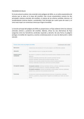 POLÍGONO DE WILLIS
El círculo arterial cerebral, más conocido como polígono de Willis, es un anillo anastomótico de
arterias que se ubica en la base del encéfalo. Este círculo anastomótico conecta los dos
principales sistemas arteriales del encéfalo, el sistema de las arterias carótidas internas y el
vertebrobasilar (arterias basilar y vertebrales). Está formado por cuatro pares de vasos y un
único vaso impar con numerosas ramas que irrigan el encéfalo.
La función principal del polígono de Willis es proporcionar un flujo colateral entre los sistemas
arteriales anterior y posterior del encéfalo. Además, ofrece las vías alternativas de flujo
sanguíneo entre los hemisferios cerebrales izquierdo y derecho. De esta forma el polígono
protege al encéfalo de isquemia y eventos cerebrovasculares en caso de obstrucción o daño
vascular.
 