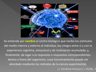 Se entiende por cerebro el centro biológico que recibe los estímulos 
del medio interno y externo al individuo, los integra entre sí y con la 
experiencia cognitiva, emocional y de motivación acumulada, y, 
finalmente, da lugar a la respuesta o respuestas correspondientes 
dentro o fuera del organismo, cuyo funcionamiento puede ser 
abordado mediante los métodos de la ciencia experimental. 
(J. Giménez-Amaya y J. Murillo, 2007) 
 