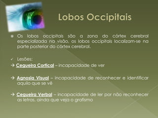 Lesões: Cegueira Cortical– incapacidade de ver Agnosia Visual – incapacidade de reconhecer e identificar aquilo que se vê Cegueira Verbal – incapacidade de ler por não reconhecer as letras, ainda que veja o grafismo