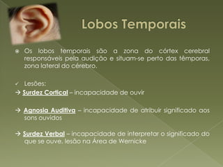 		Lobos TemporaisOs lobos temporais são a zona do córtex cerebral responsáveis pela audição e situam-se perto das têmporas, zona lateral do cérebro.