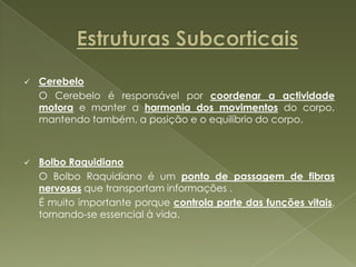		Lobos FrontaisNos lobos frontais podem se distinguir duas áreas:Área Motora – área responsável por controlar movimentos precisos e voluntários.Lesões: Paralisia – incapacidade de controlar os movimentos Apraxia – incapacidade de coordenar e ajustar os movimentos executados Agrafia – incapacidade de coordenar os movimentos para escrever, lesão na Área de Broca