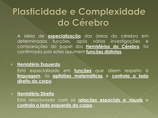 Sistema Reticular Activante	O Sistema Reticular Activante controla a capacidade de atenção e vigilância, tornando possível ao cérebro fazer a descodificação das informações recebidas.	Este sistema é bastante importante pois filtra as informações, distinguindo as importantes das superficiais.Tálamo	O Tálamo é um local por onde passam e são coordenadas as informações sensíveis.Hipotálamo	O Hipotálamo é uma estrutura bastante importante, pois é ele que regula a maior parte da necessidades biológicas, controla os circuitos nervosos que regulam alguns órgãos internos e também controla e dirige o sistema endócrino.