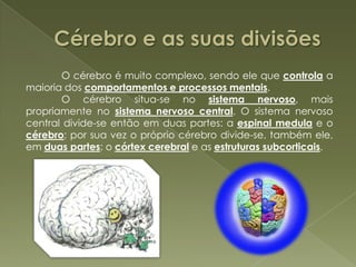 Cérebro e as suas divisões  	O cérebro é muito complexo, sendo ele que controla a maioria dos comportamentos e processos mentais.	O cérebro situa-se no sistema nervoso, mais propriamente no sistema nervoso central. O sistema nervoso central divide-se então em duas partes: a espinal medulae o cérebro; por sua vez o próprio cérebro divide-se, também ele, em duas partes: o córtex cerebrale as estruturas subcorticais.  