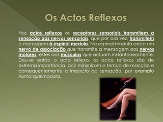  Amígdala  Hipocampo