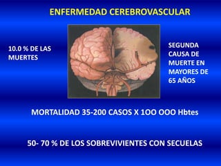 ENFERMEDAD CEREBROVASCULAR
MORTALIDAD 35-200 CASOS X 1OO OOO Hbtes
50- 70 % DE LOS SOBREVIVIENTES CON SECUELAS
10.0 % DE LAS
MUERTES
SEGUNDA
CAUSA DE
MUERTE EN
MAYORES DE
65 AÑOS
 