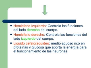  Hemisferio izquierdo: Controla las funciones
del lado derecho del cuerpo.
 Hemisferio derecho: Controla las funciones del
lado izquierdo del cuerpo.
 Liquido cefaloraquideo: medio acuoso rico en
proteinas y glucosa que aporta la energía para
el funcionamiento de las neuronas.
 