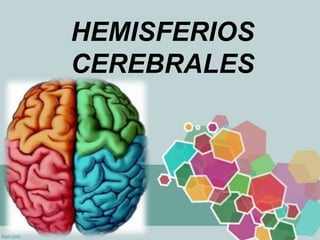 HEMISFERIOS
CEREBRALES
 