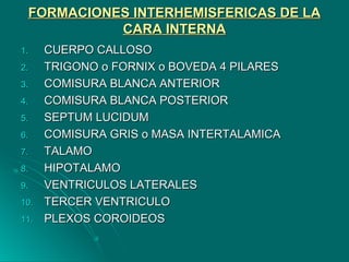 FORMACIONES INTERHEMISFERICAS DE LAFORMACIONES INTERHEMISFERICAS DE LA
CARA INTERNACARA INTERNA
1.1. CUERPO CALLOSOCUERPO CALLOSO
2.2. TRIGONO o FORNIX o BOVEDA 4 PILARESTRIGONO o FORNIX o BOVEDA 4 PILARES
3.3. COMISURA BLANCA ANTERIORCOMISURA BLANCA ANTERIOR
4.4. COMISURA BLANCA POSTERIORCOMISURA BLANCA POSTERIOR
5.5. SEPTUM LUCIDUMSEPTUM LUCIDUM
6.6. COMISURA GRIS o MASA INTERTALAMICACOMISURA GRIS o MASA INTERTALAMICA
7.7. TALAMOTALAMO
8.8. HIPOTALAMOHIPOTALAMO
9.9. VENTRICULOS LATERALESVENTRICULOS LATERALES
10.10. TERCER VENTRICULOTERCER VENTRICULO
11.11. PLEXOS COROIDEOSPLEXOS COROIDEOS
 