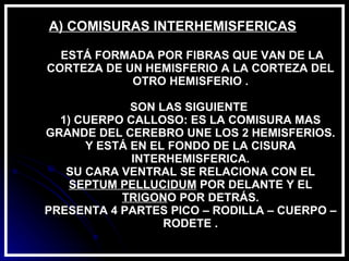 A) COMISURAS INTERHEMISFERICAS    ESTÁ FORMADA POR FIBRAS QUE VAN DE LA CORTEZA DE UN HEMISFERIO A LA CORTEZA DEL OTRO HEMISFERIO . SON LAS SIGUIENTE  1) CUERPO CALLOSO: ES LA COMISURA MAS GRANDE DEL CEREBRO UNE LOS 2 HEMISFERIOS. Y ESTÁ EN EL FONDO DE LA CISURA INTERHEMISFERICA. SU CARA VENTRAL SE RELACIONA CON EL  SEPTUM PELLUCIDUM  POR DELANTE Y EL  TRIGON O POR DETRÁS. PRESENTA 4 PARTES PICO – RODILLA – CUERPO – RODETE . 