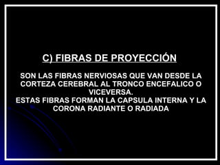 C) FIBRAS DE PROYECCIÓN   SON LAS FIBRAS NERVIOSAS QUE VAN DESDE LA CORTEZA CEREBRAL AL TRONCO ENCEFALICO O VICEVERSA. ESTAS FIBRAS FORMAN LA CAPSULA INTERNA Y LA CORONA RADIANTE O RADIADA 