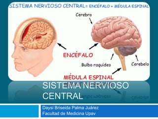 SISTEMA NERVIOSO
CENTRAL
Daysi Briseida Palma Juárez
Facultad de Medicina Upav
 