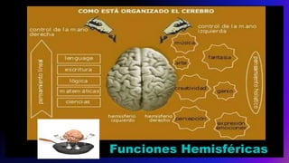 Funciones Hemisféricas
 