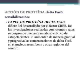 ACCIÓN DE PROTEÍNA delta FosB:
sensibilización:
• PAPEL DE PROTEÍNA DELTA FosB:
difiere del desarrollado por el factor CREB. De
las investigaciones realizadas con ratones y ratas
se desprende que, ante un abuso crónico de
estupefacientes  aumentan de manera gradual
y progresiva las concentraciones de delta FosB
en el nucleus accumbens y otras regiones del
cerebro.
 