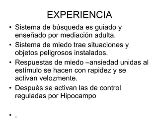 EXPERIENCIA Sistema de búsqueda es guiado y enseñado por mediación adulta. Sistema de miedo trae situaciones y objetos peligrosos instalados. Respuestas de miedo –ansiedad unidas al estímulo se hacen con rapidez y se activan velozmente. Después se activan las de control reguladas por Hipocampo . 