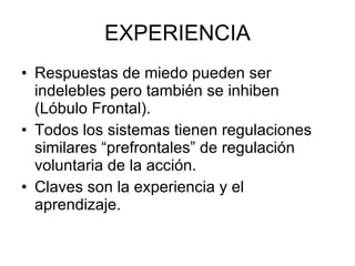 EXPERIENCIA Respuestas de miedo pueden ser indelebles pero también se inhiben (Lóbulo Frontal). Todos los sistemas tienen regulaciones similares “prefrontales” de regulación voluntaria de la acción. Claves son la experiencia y el aprendizaje. 