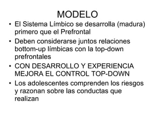 MODELO El Sistema Límbico se desarrolla (madura) primero que el Prefrontal Deben considerarse juntos relaciones bottom-up límbicas con la top-down prefrontales CON DESARROLLO Y EXPERIENCIA MEJORA EL CONTROL TOP-DOWN Los adolescentes comprenden los riesgos y razonan sobre las conductas que realizan  
