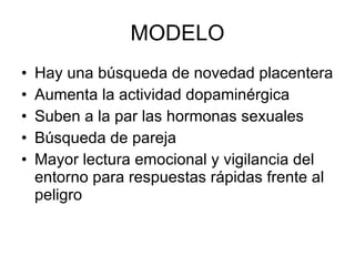 MODELO Hay una búsqueda de novedad placentera Aumenta la actividad dopaminérgica Suben a la par las hormonas sexuales Búsqueda de pareja Mayor lectura emocional y vigilancia del entorno para respuestas rápidas frente al peligro  