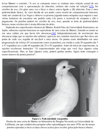 levou Skinner a concluir: “A ave se comporta como se existisse uma relação causal de seu 
comportamento com a apresentação do alimento, embora não exista tal relação”.[37] No 
cérebro da ave, (A) girar uma vez e bicar a chave estava ligado a (B) alimento. Essa é uma 
padronicidade básica. Se você duvida de seu poder como motriz do comportamento humano, 
visite um cassino de Las Vegas e observe as pessoas jogando numa máquina caça-níqueis e suas 
várias tentativas de encontrar um padrão entre (A) puxar a manivela da máquina e (B) o 
pagamento. Os pombos podem ter cérebro de ave, mas, quando se trata de padronicidades 
bá si cas, nos so cé re bro não é mui to di fe ren te do de les. 
Ins pi ra do nos ex pe ri men tos clás si cos de Skin ner, Koi chi Ono, da Uni ver si da de Ko ma zawa, no 
Japão, submeteu sujeitos humanos ao equivalente de uma caixa de Skinner, fazendo-os sentar-se 
em uma cabine em que havia três alavancas.[38] Independentemente do movimento das 
alavancas (algo que os sujeitos não sabiam), aparecia um contador numérico que lhes dava um 
ponto de cada vez, seguido de um flash e uma sirene. Os pontos eram distribuídos em uma 
programação de reforço IV (exatamente como os pombos), em média a cada 30 segundos (de 3 
a 57 segundos) ou a cada 60 segundos (de 25 a 95 segundos). Antes do início do experimento, os 
sujeitos receberam instruções: “O experimentador não exige que você faça alguma coisa 
especificamente. Mas, se fizer alguma coisa, poderá ganhar pontos. Agora tente conseguir o 
mai or nú me ro de pon tos pos sí vel”. 
Fi gu ra 1. Pa dro ni ci da de em pom bos 
Den tro de uma cai xa de Skin ner no la bo ra tó rio de Dou glas Na va rick, na Uni ver si da de da 
Ca li fór nia, em que con du zi uma pes qui sa so bre apren di za gem nos anos 1970, um de nos sos 
pom bos apren deu a bi car as duas cha ves aci ma para re ce ber grãos pelo bu ra co abai xo. 
 