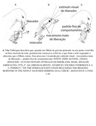A. Niko Tin ber gen des co briu que, quan do um fi lho te de gai vo ta-pra te a da via um pon to ver me lho 
no bico ama re lo da mãe, pron ta men te co me ça va a bicá-lo, o que fa zia a mãe re gur gi tar o 
ali men to, que o fi lho te co mia. Esse pro ces so é re su mi do por es tí mu lo vi su al – me ca nis mo ina to 
de li be ra ção –, pa drão fixo de com por ta men to. FON TE: JOHN AL COCK, ANI MAL 
BE HA VI OR: AN EVO LU TI O NARY AP PRO A CH (SUN DER LAND, MASS.: SI NAU ER 
AS SO CI A TES, 1975), P. 164. ORI GI NAL MEN TE, APA RE CEU EM NIKO TIN BER GEN E A. 
C. PER DECT, “ON THE STI MU LOUS SI TU A TI ON RE LE A SING THE BEG GING 
RES PON SE IN THE NEWLY HAT CHED HER RING GULL CHICK”, BE HA VI OUR 3 (1950): 
1-39. 
 